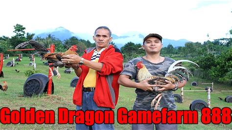 golden dragon gamefarm 888 price list|Brand new Golden Dragon Philippines 2024: Price list  .